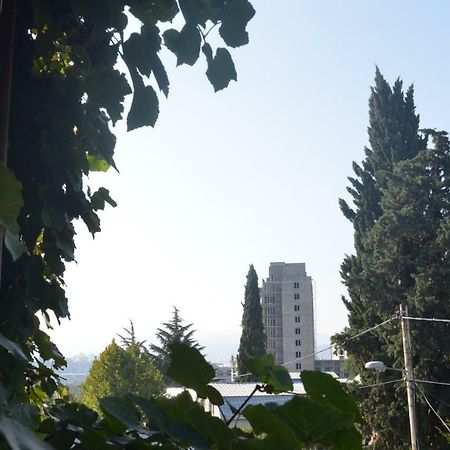 Alex'S Cosy Guesthouse 第比利斯 外观 照片