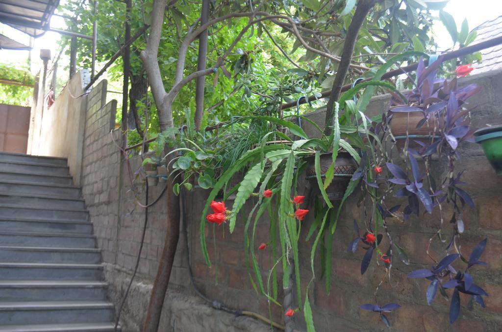 Alex'S Cosy Guesthouse 第比利斯 外观 照片